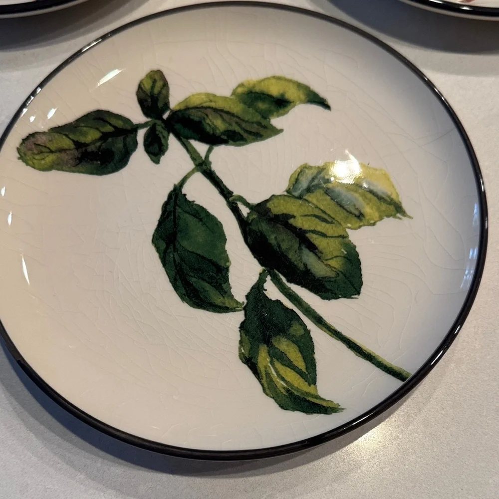 Crate&Barrel Botanical Dinnerware Set - Cream and Green 1 plate has small chips